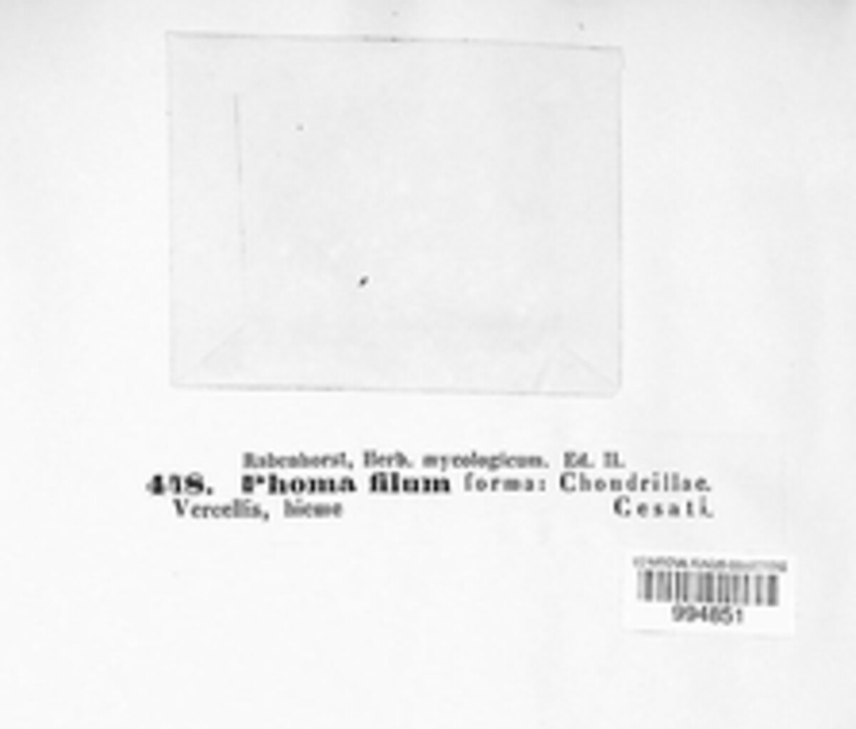 Phoma filum image
